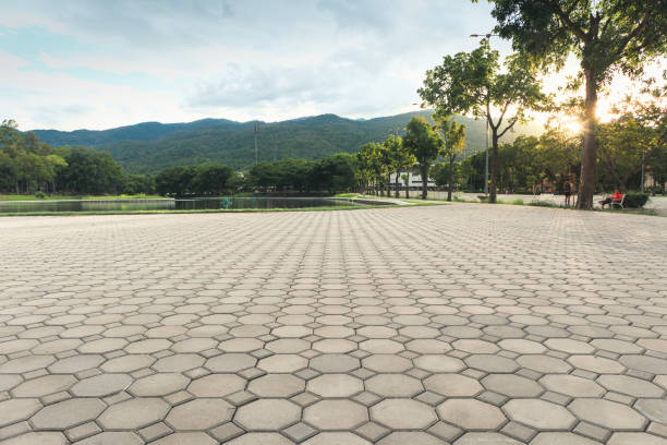 Best Professional Driveway Pavers  in Topeka, IN